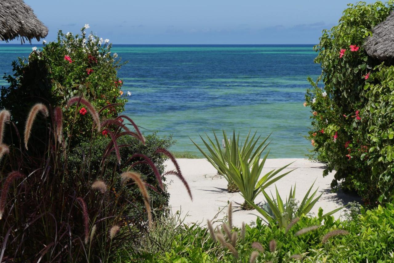 Zanbluu Beach Hotel キウェンワ エクステリア 写真